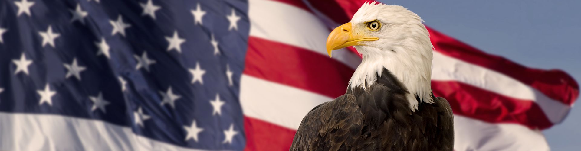 image of eagle in front of american flag