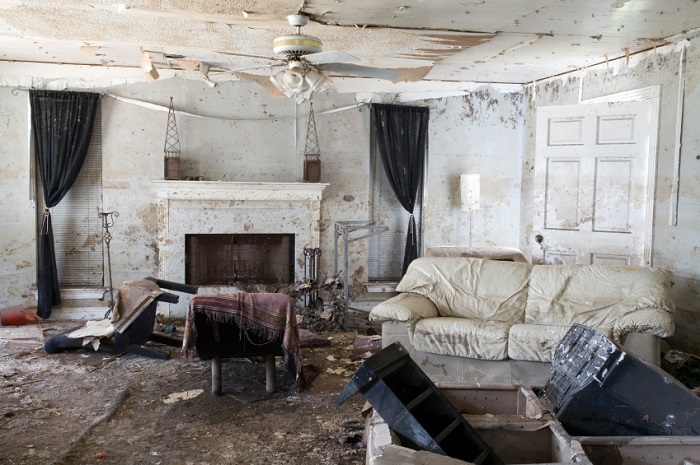 image of home with severe mold damage